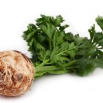 Celery with root