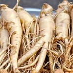 ginseng