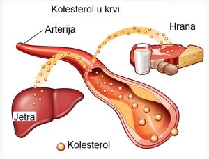 kolesterol u krvi