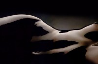 silueta