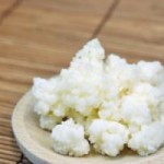 tibetanska gljiva - kefir