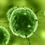 virus