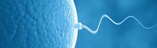 DNA spermiji