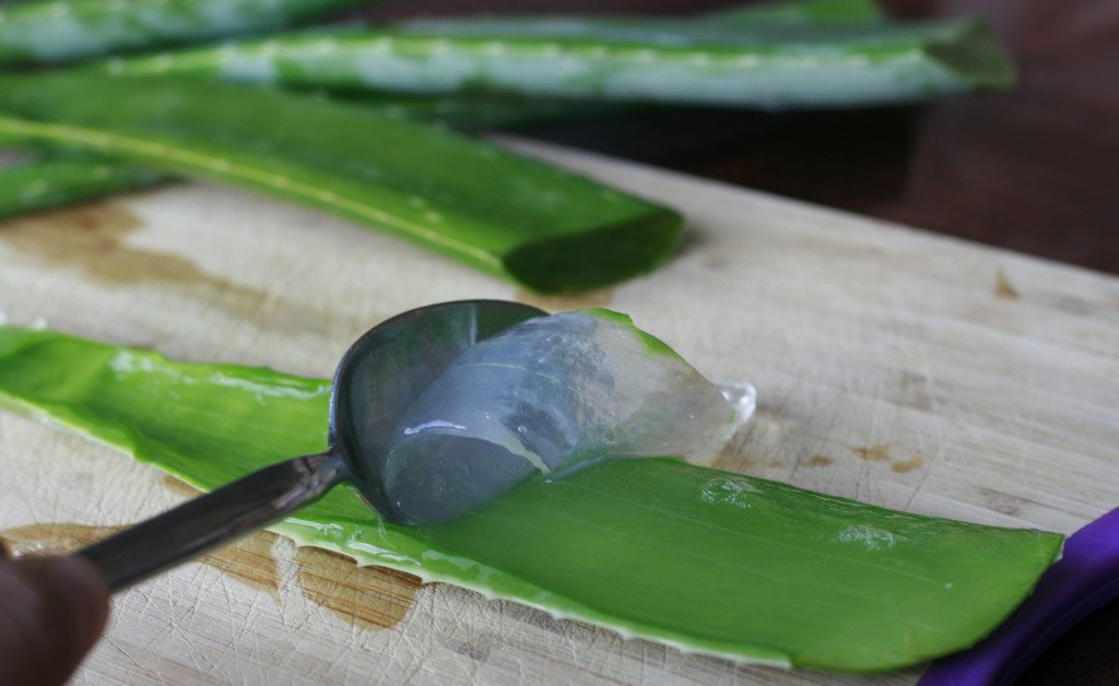 gel de aloe vera