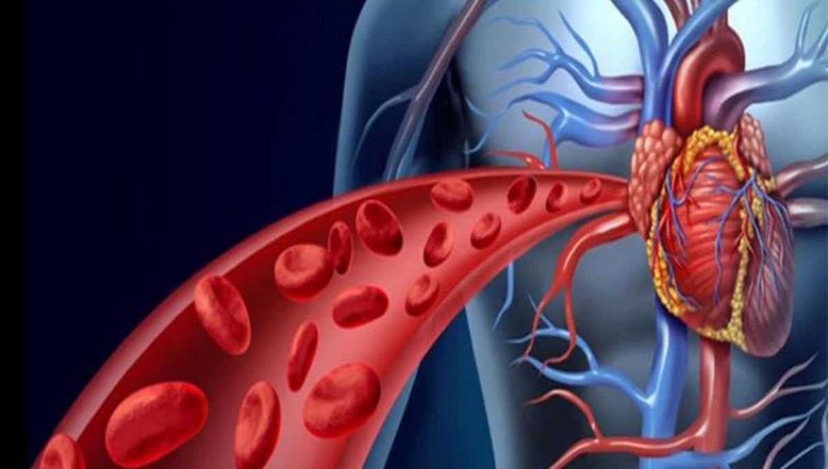 Čišćenje krvi prirodnim putem 5 namirnica koje izvrsno čiste krvne žile