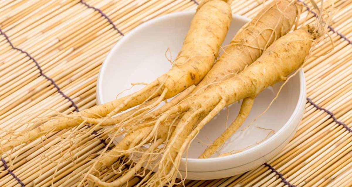 Ginseng za potenciju Poboljšava seksualnu funkciju kod muškaraca