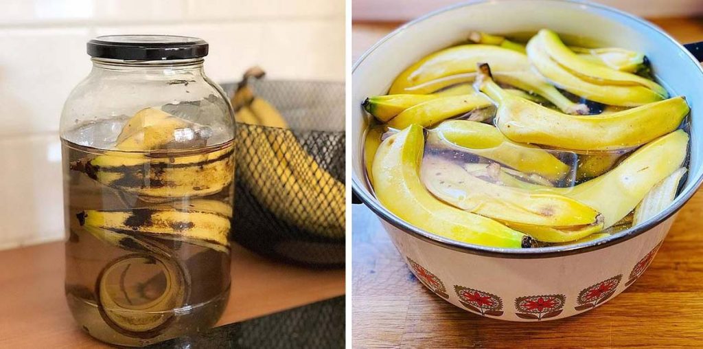 kora od banane za cvijeće