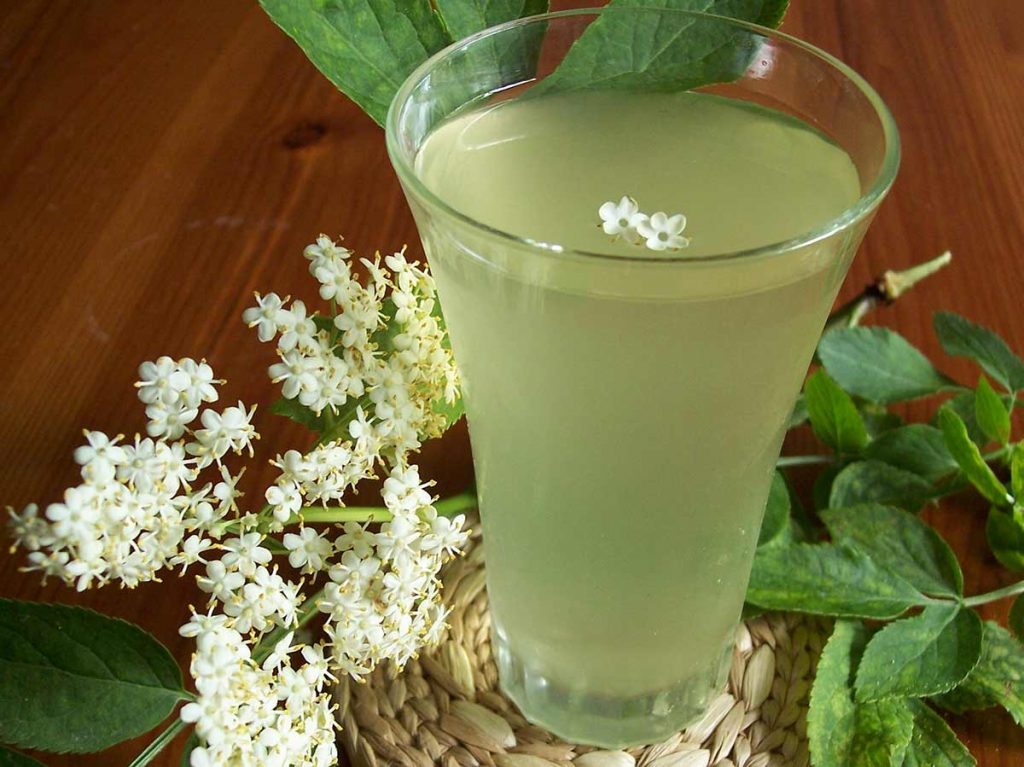 sirup od cvjetova bazge