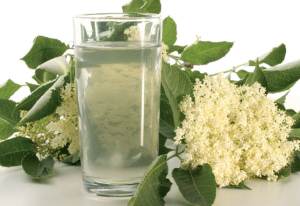sirup od zove